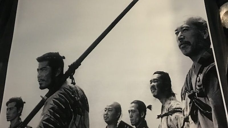 屋顶种植基质：选择与养护之道