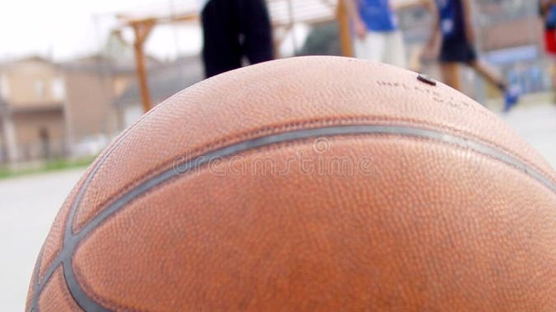 庭院草坪铺设人工费报价揭秘：成本构成与影响因素