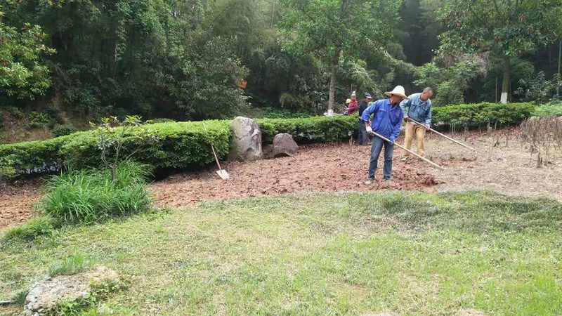 四川苗木基地：从跟风选到懂行选，品牌排名的真实价值在哪