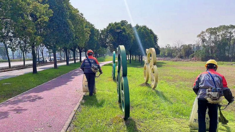 别墅绿化墙材质分类：打造生态家园的多元选择