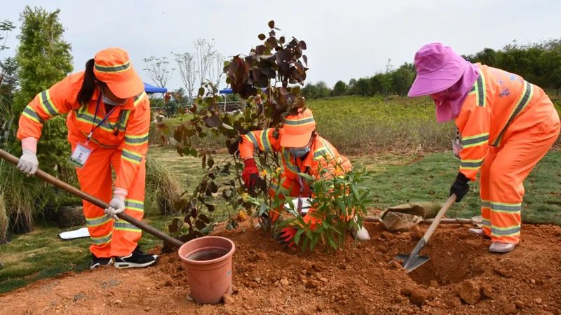 树池尺寸选择：园林工程中的关键一环