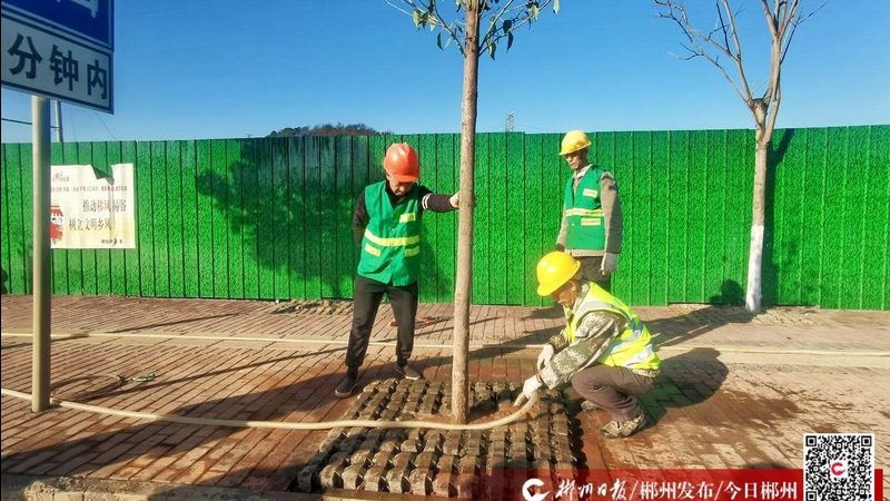 轻型屋顶绿化基质注意事项解析