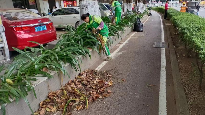 地面绿化与屋顶绿化：优缺点对比解析**