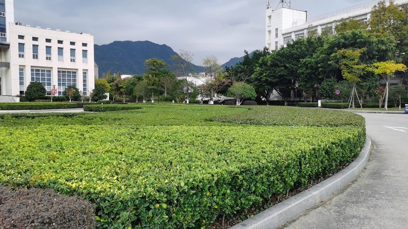 潍坊园林科技发展有限公司