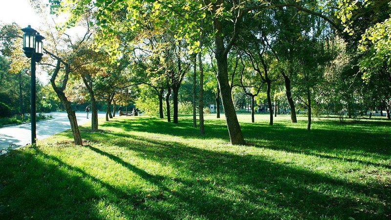 学校绿化种植土回填，报价如何确定？**