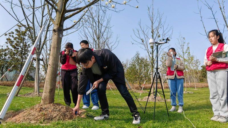 苗木种植技术视频教程：从选苗到养护的完整步骤详解